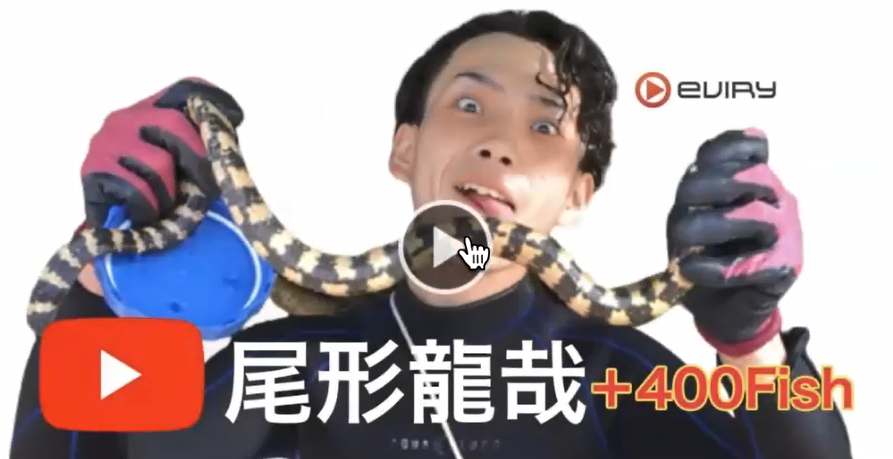 社内報ネタ②一人一人の個性を生かした社員紹介(4枚目)